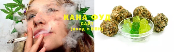 МДПВ Гусев