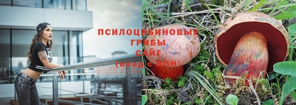 МДПВ Гусев