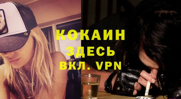 apvp Дмитров