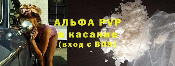 PSILOCYBIN Гусиноозёрск