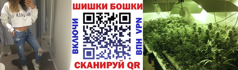 Каннабис индика Вяземский